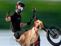 Oh No E-Bike Accident Audio meme and image example.