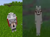 Jerry The Wolf