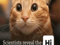 Scientists Reveal the Hi meme example image.