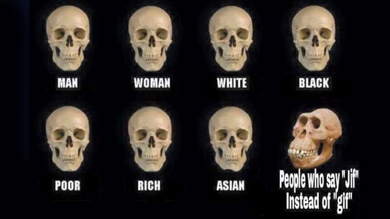 Comparison Of Human Skull Shapes