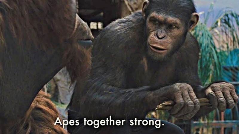 Know Your Meme - Monke Together Strong (Redditor