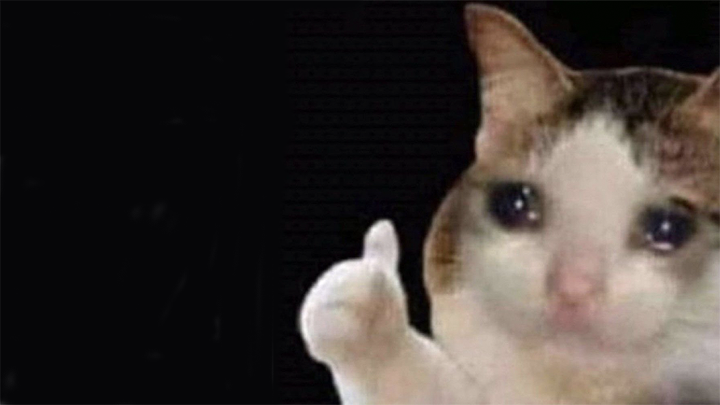 Thumbs Up Crying Cat Know Your Meme