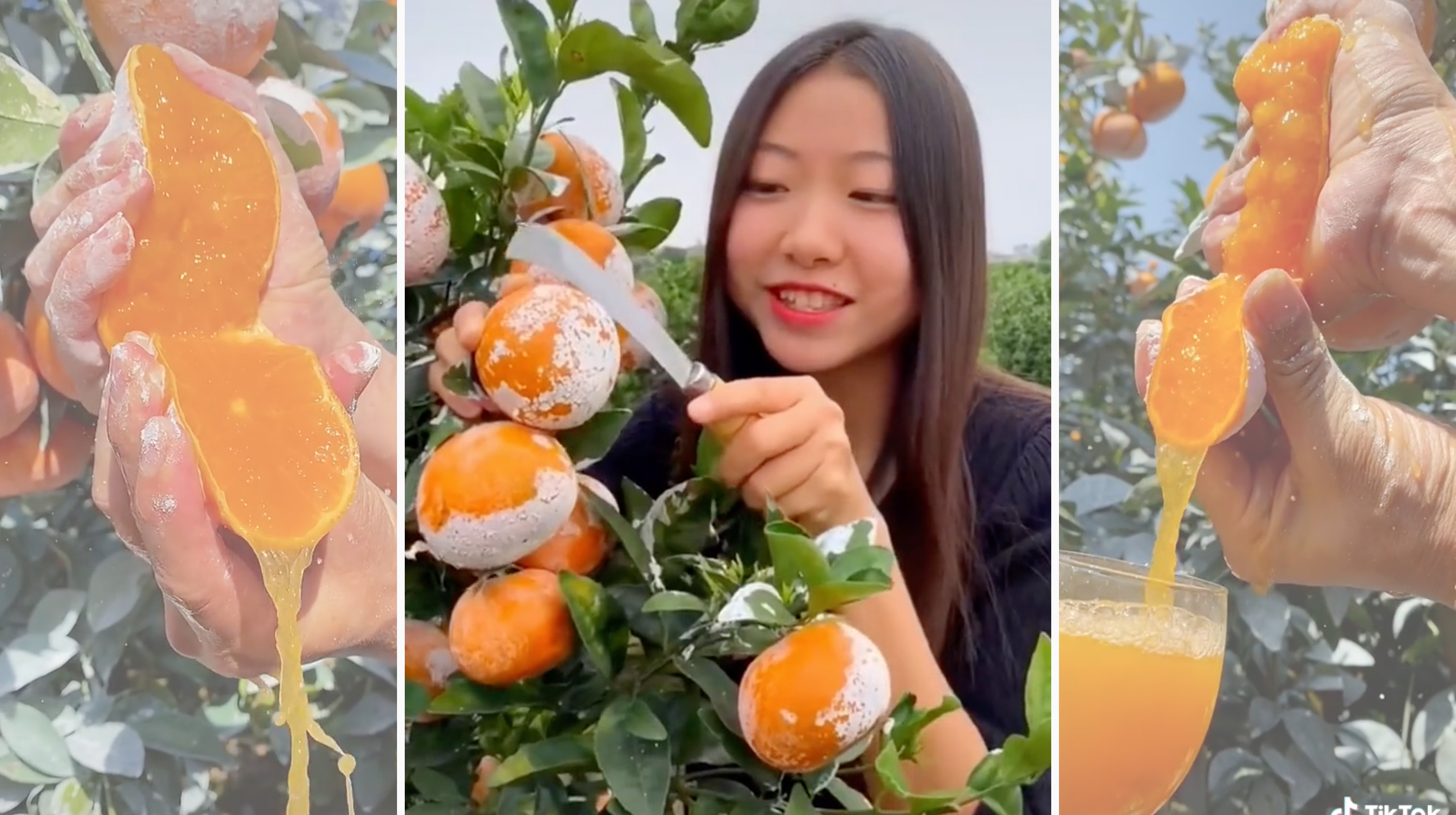 White Powdered Oranges Know Your Meme