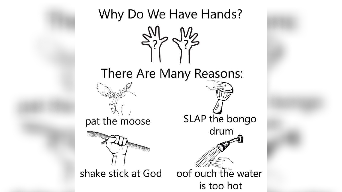 Why Do We Have Hands There Are Many Reasons Know Your Meme