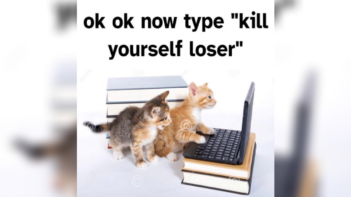 Ok Now Type Kill Yourself Loser KYS Loser Know Your Meme