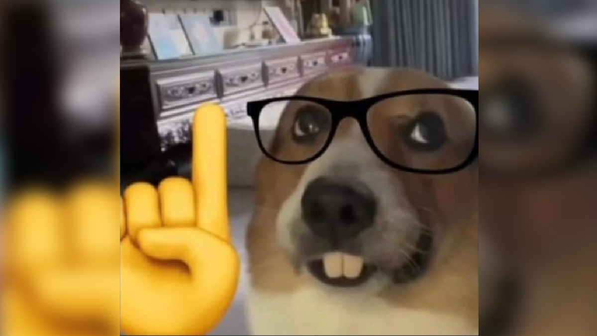 Nerd Dog Know Your Meme