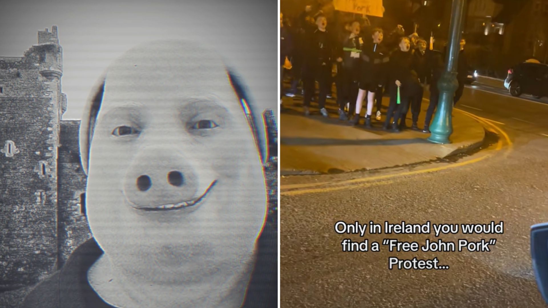 Free John Pork Movement John Pork Lore Know Your Meme All For One