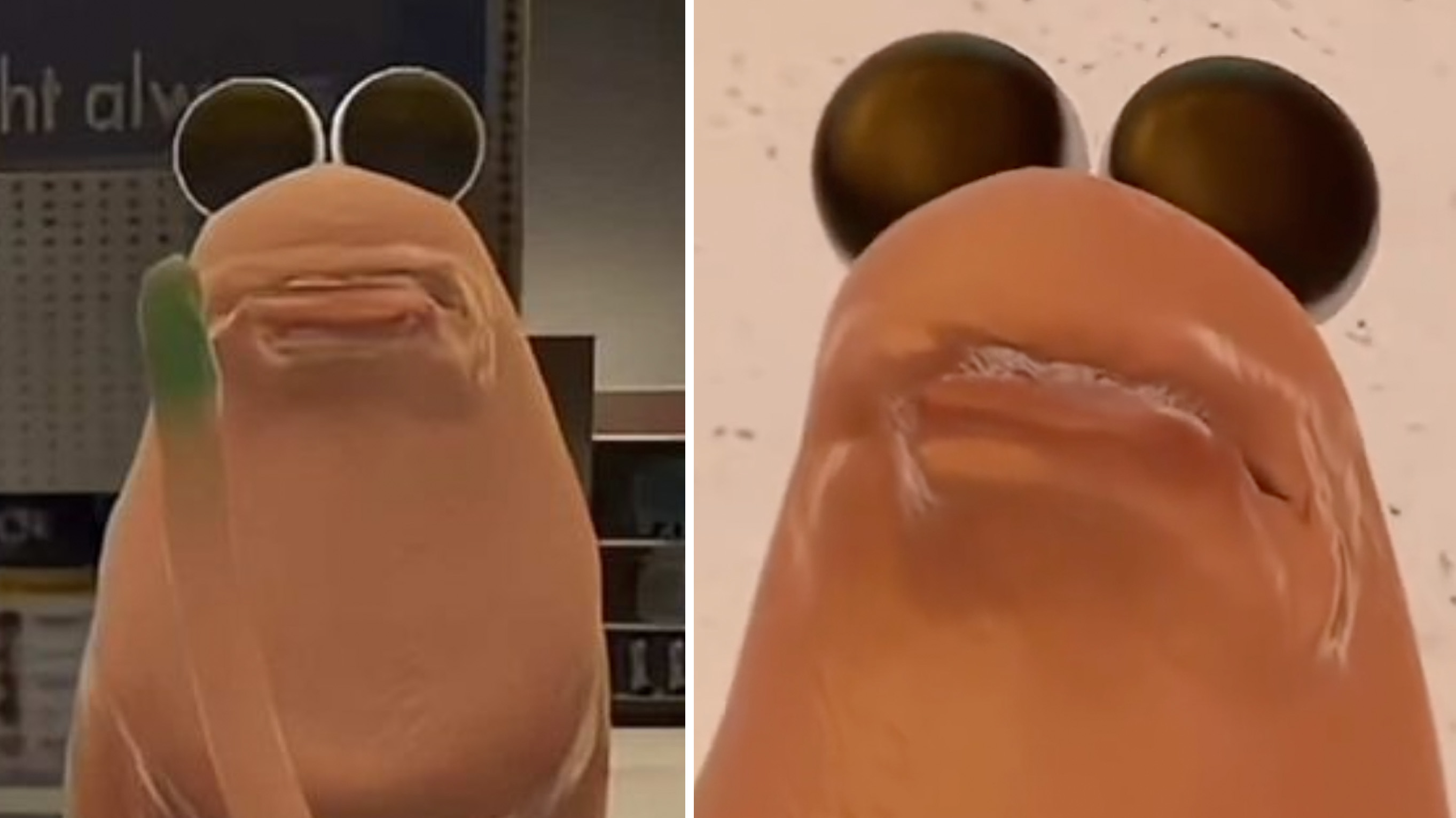 Marcus the Worm image examples.