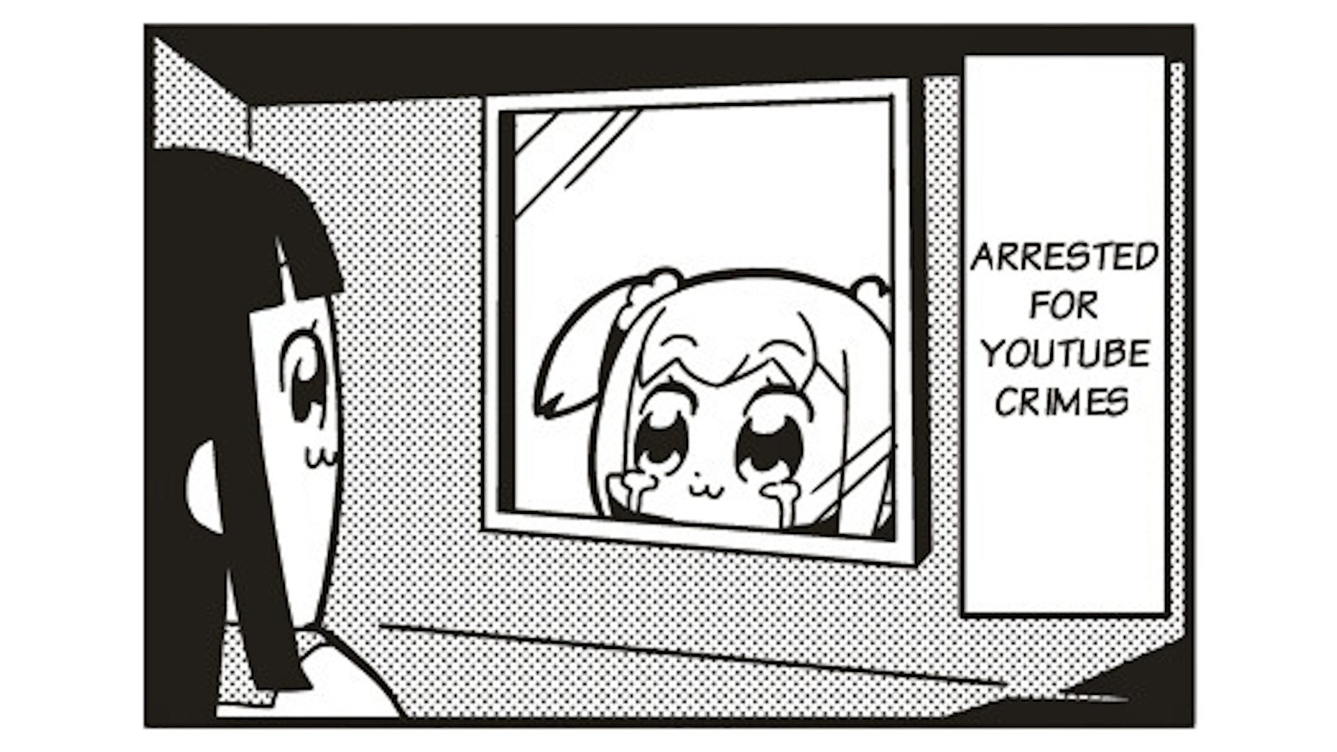 Arrested for YouTube Crimes