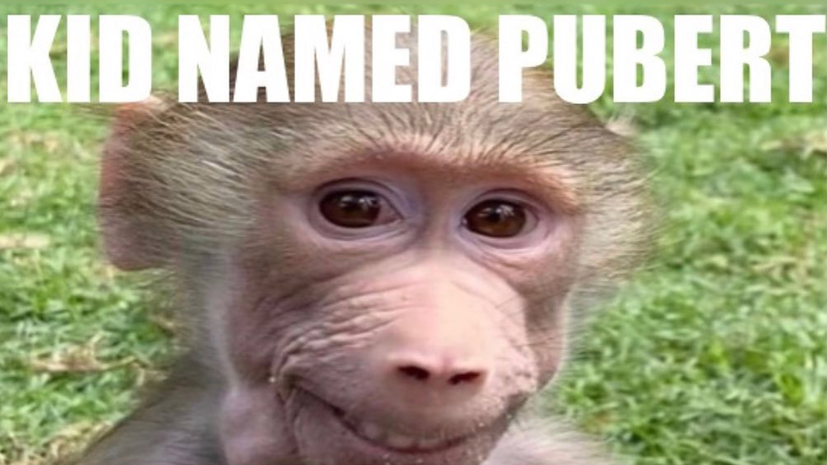 Kid Named Pubert | Know Your Meme