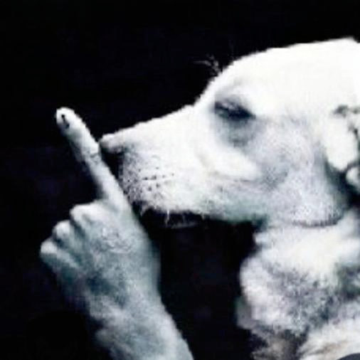 Shh dog