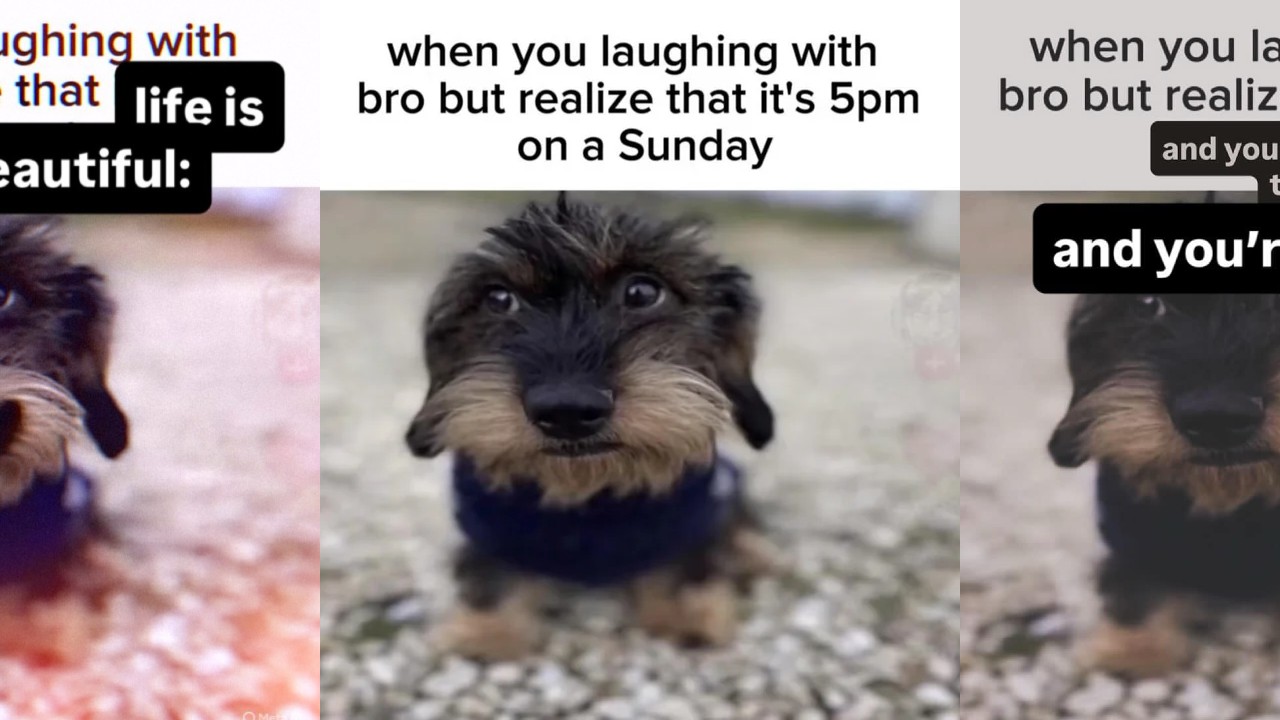 When You Laughing With Bro