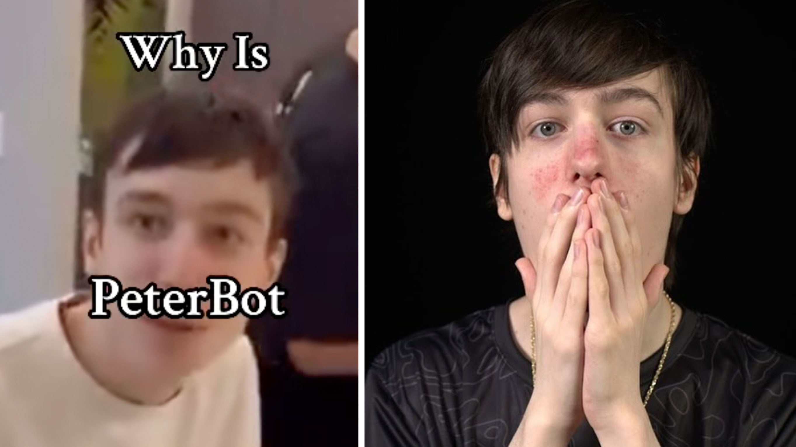 PeterBot N-word Hard R Scandal