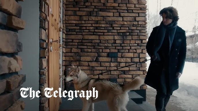 Siberian Husky Russian Propaganda