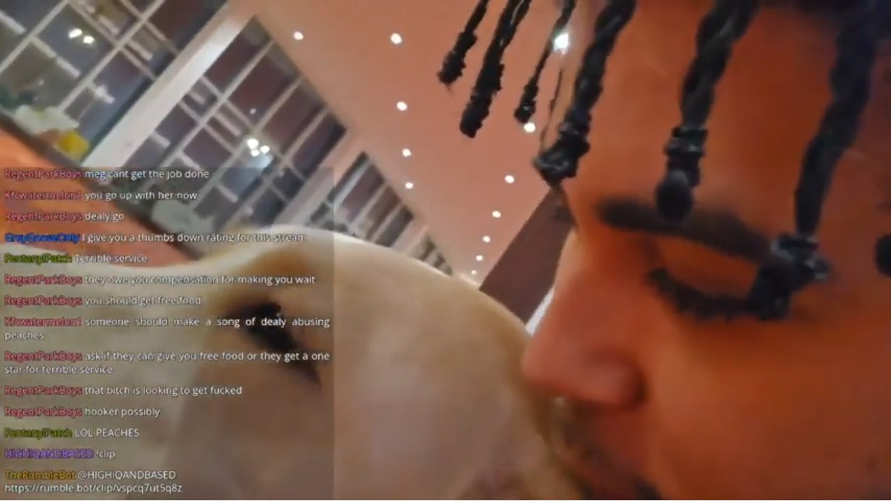 Kick Streamer LilDealy Dog Abuse Controversy image example.