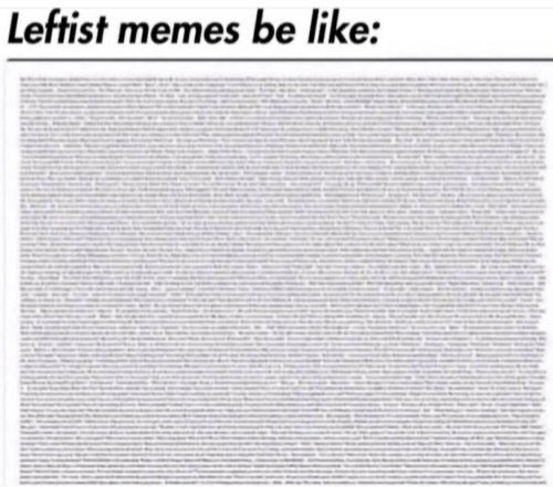 Leftist memes be like