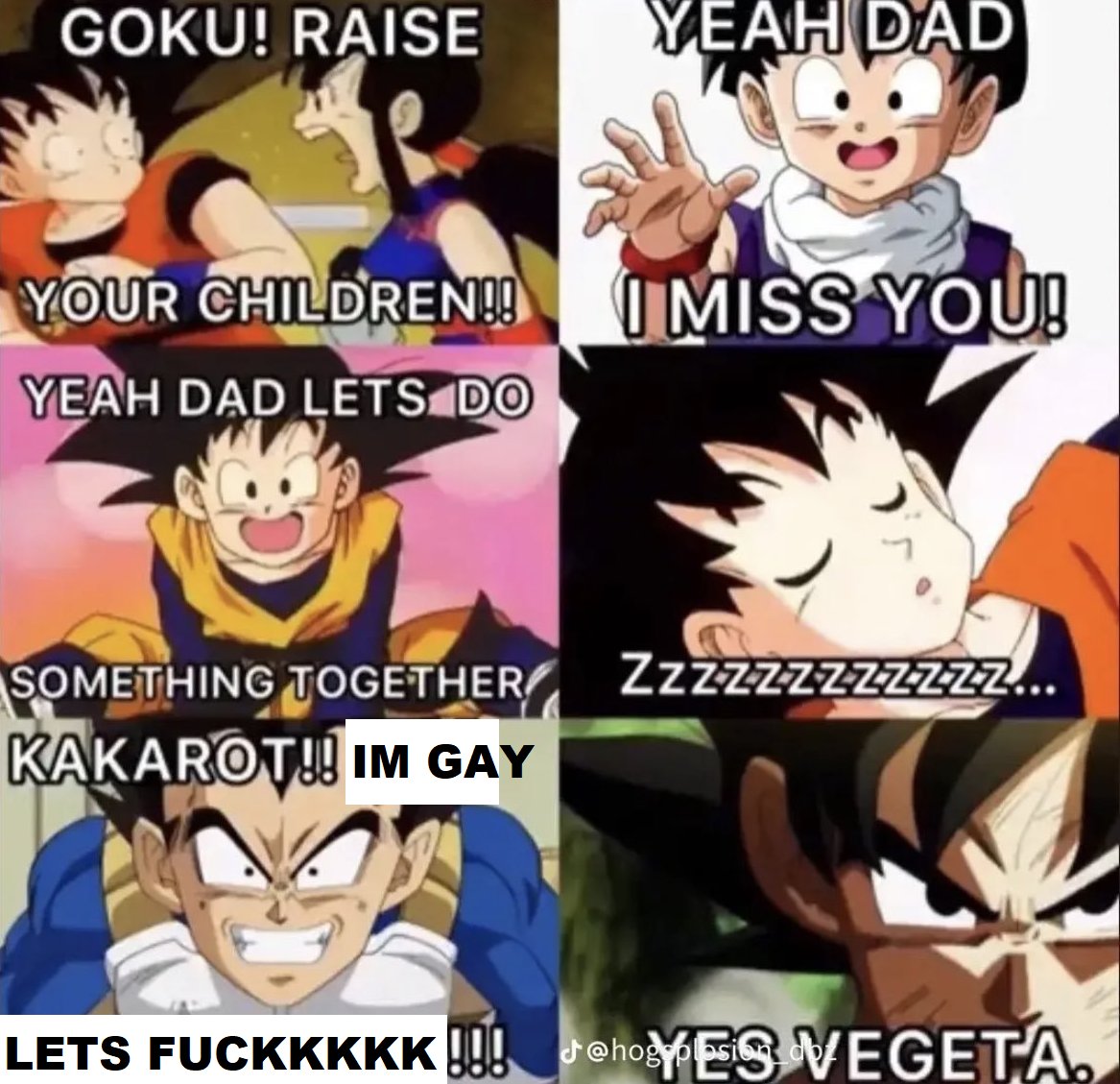 KAKAROT IM GAY LETS F***!!! yes Vegeta