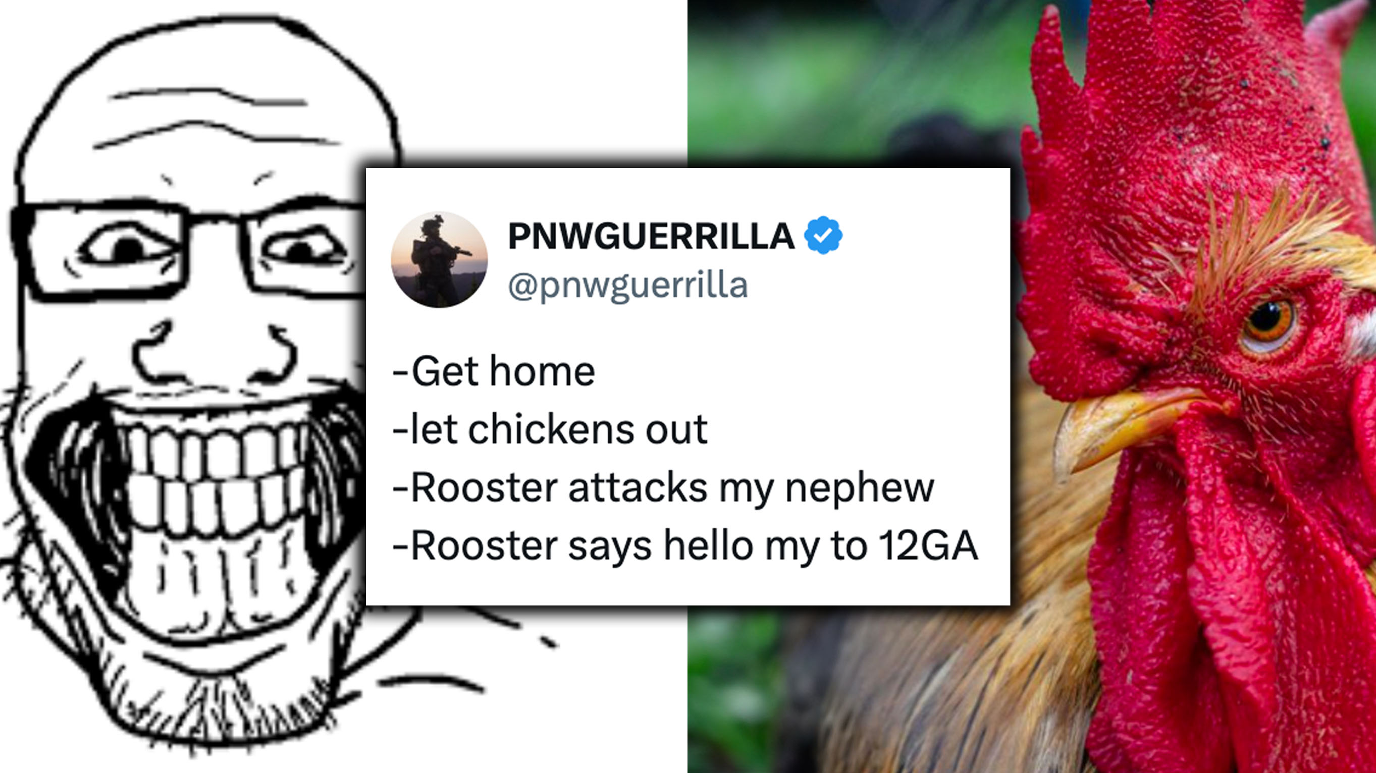 PNWGUERRILLA Shooting Rooster Tweet / Gigadad vs Rooster meme