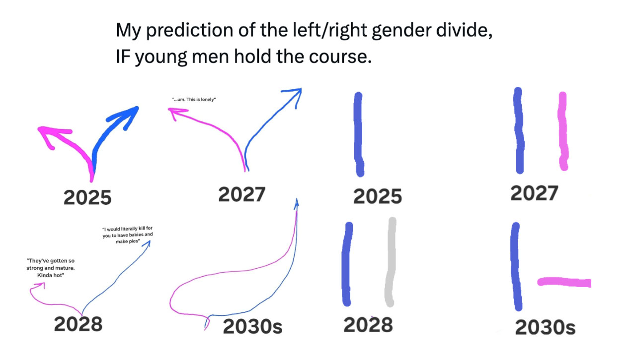 My Prediction Of The Left / Right Gender Divide meme and image examples.
