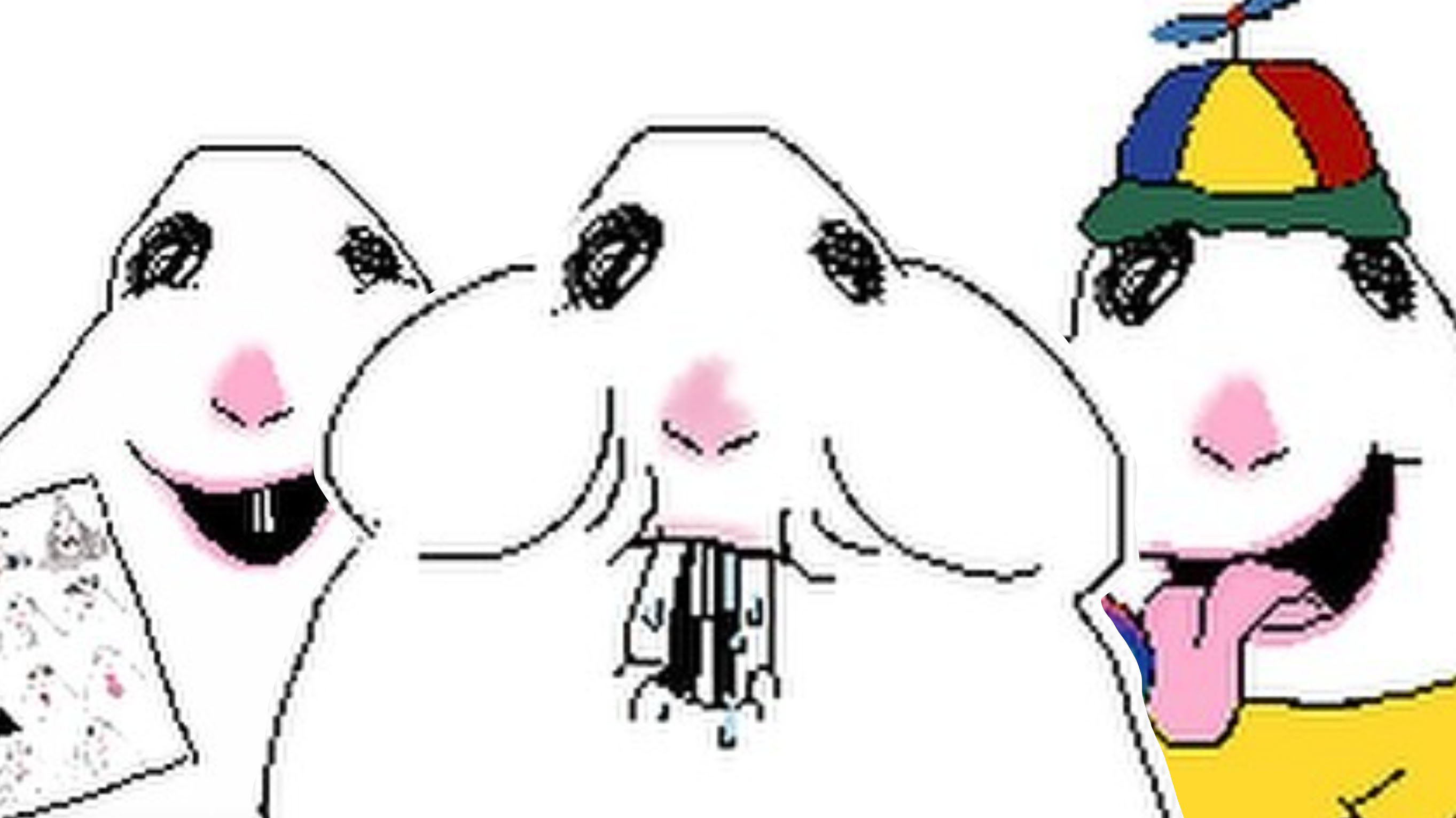 Almarts27 Hamster image examples.