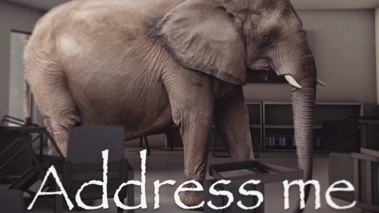Address Me Elephant meme depicting an elephant in the room.