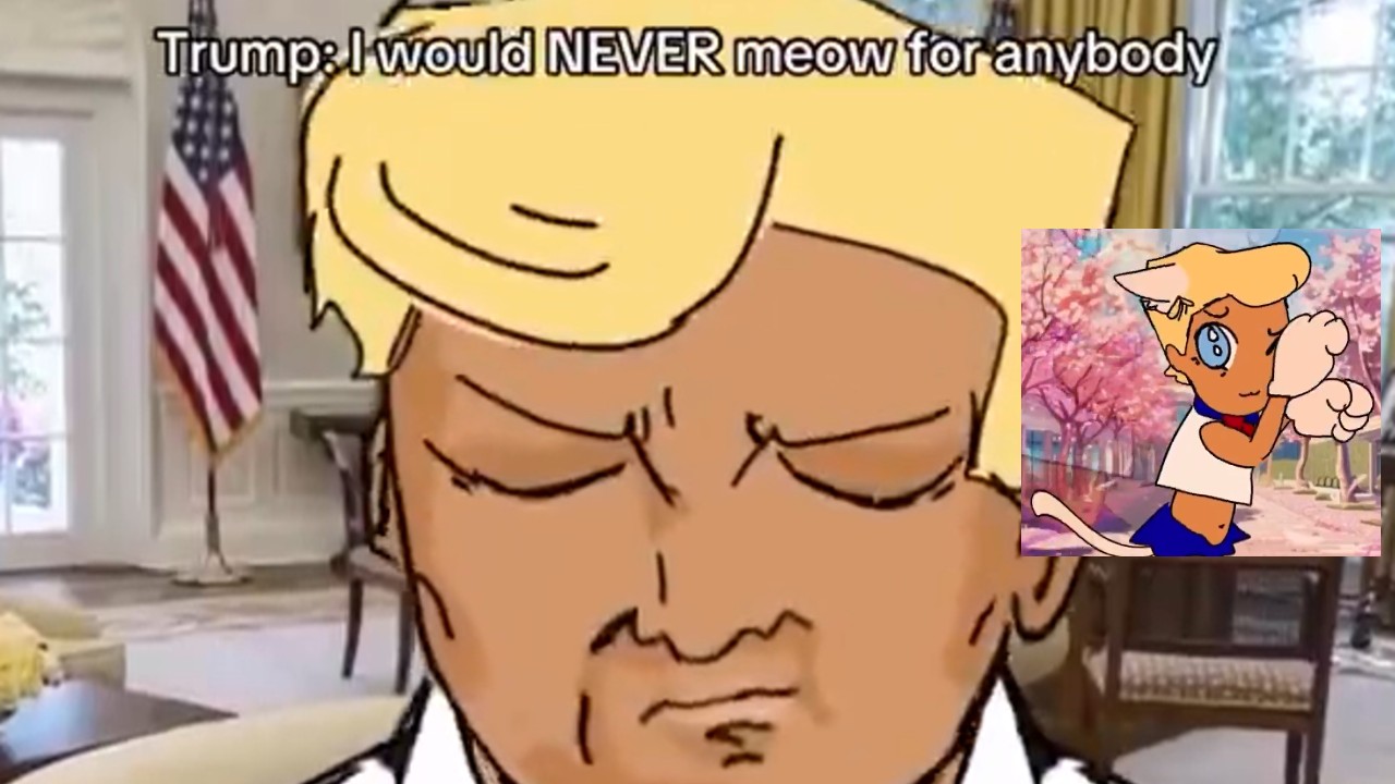 I Would Never Meow For Anyone / Meow Meow Trend image and meme example.
