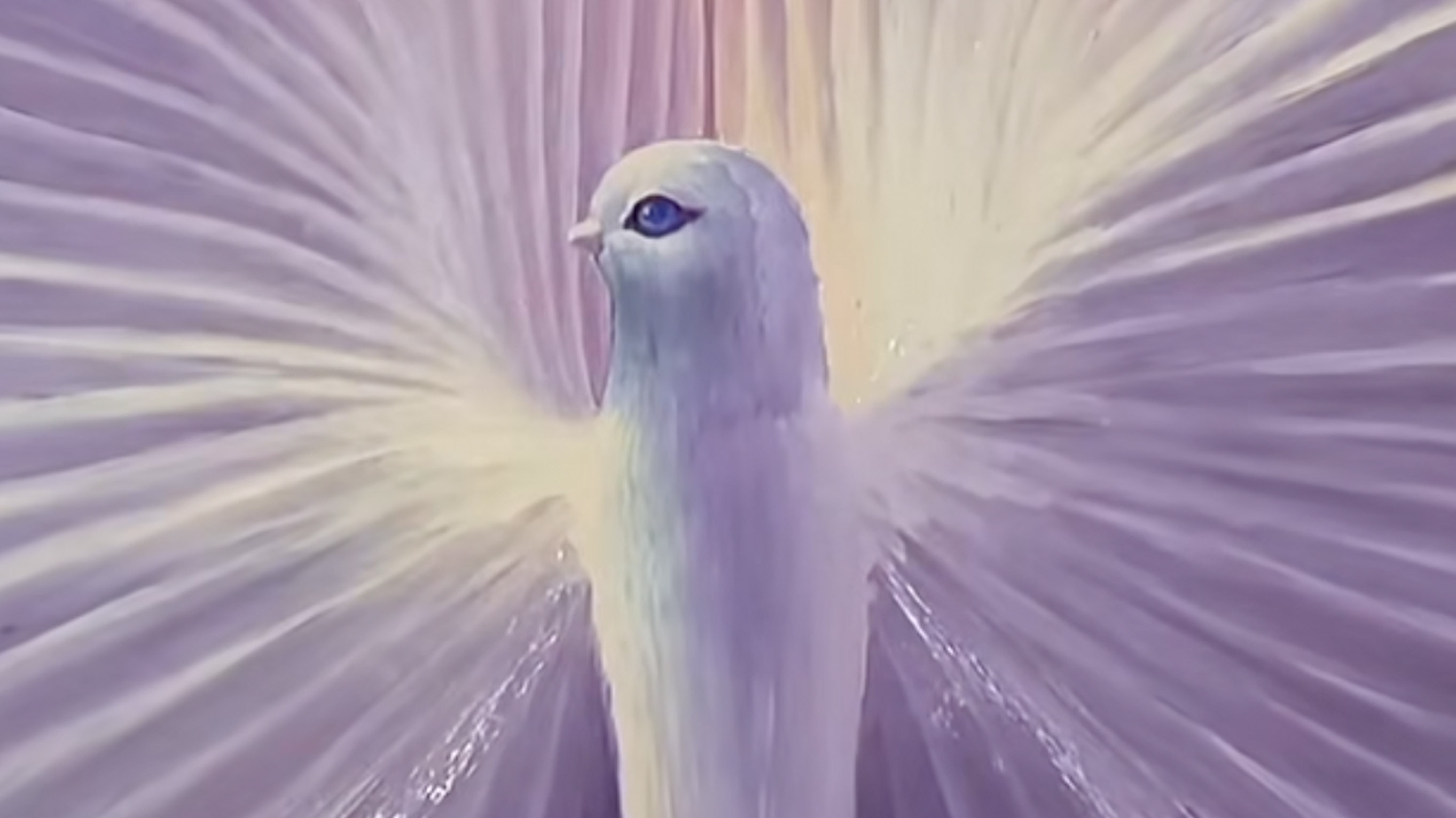 Fever Dream Bird meme.