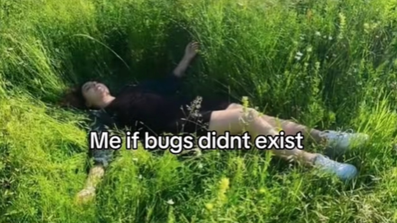 Me If Bugs Didn't Exist meme depicting an image of a girl lying in the grass under the caption, "Me if bugs didn't exist."