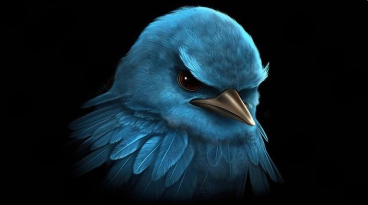 Vryad Li / Unlikely Bird