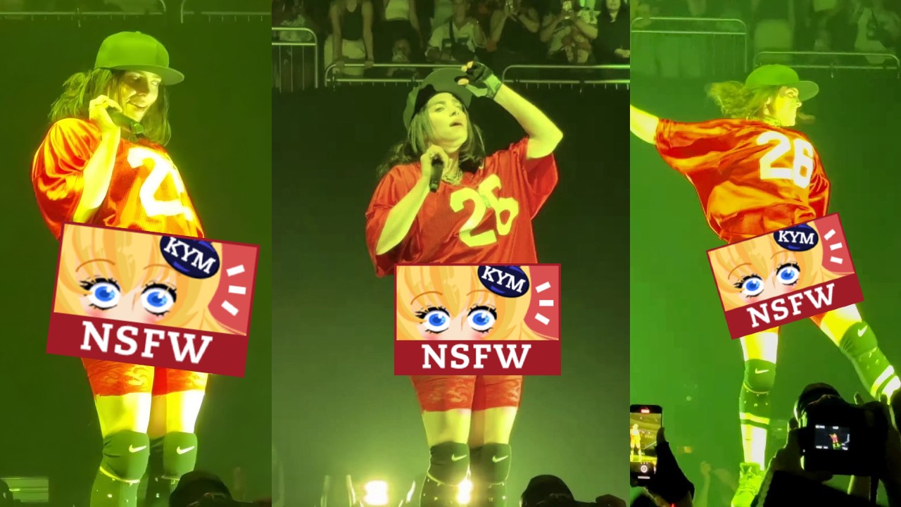 Billie Eilish Camel Toe at Quebec City Concert