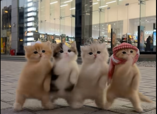 AI Kittens Dancing