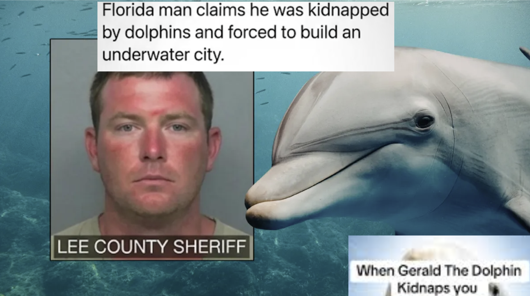 Gerald the dolphin kidnaps florida man and forces him to build underwater city conspiracy theory image examples.