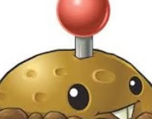 We Cooked Chat or just French Fried