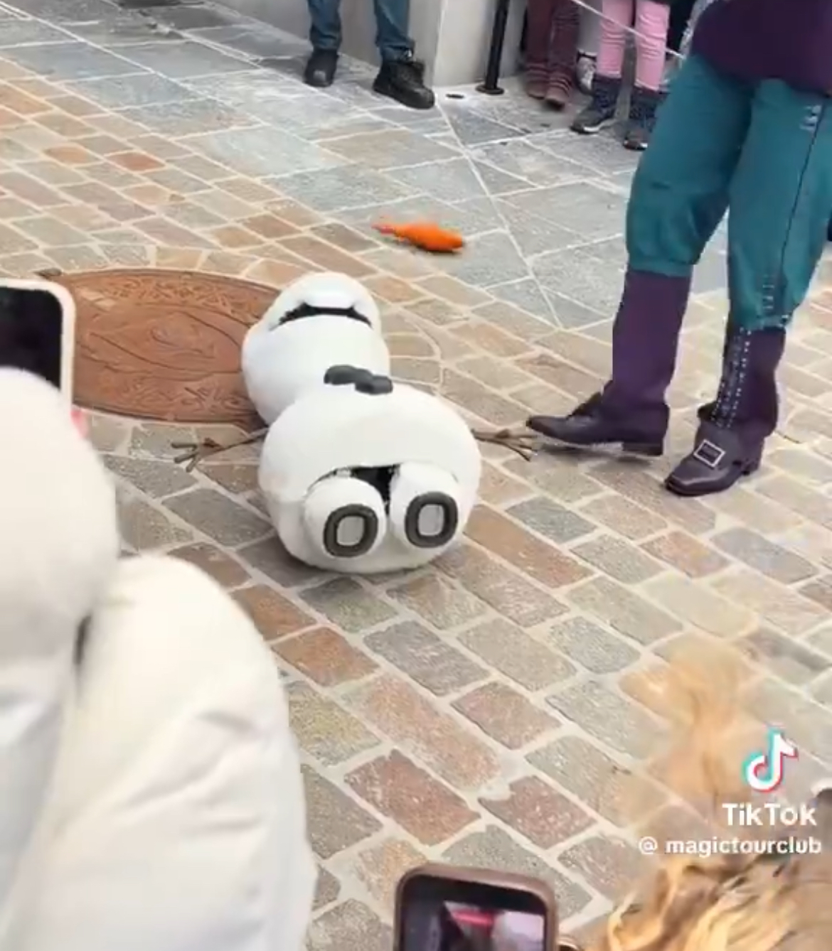 Olaf Dying Gif