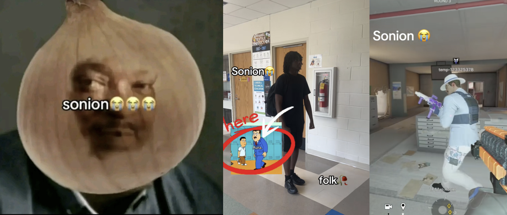 Sonion meme example images.