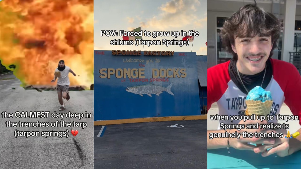 Three examples of memes about Tarpon Springs.