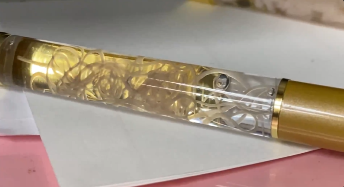 Japanese Parasitic Worm Pen meme and image example.