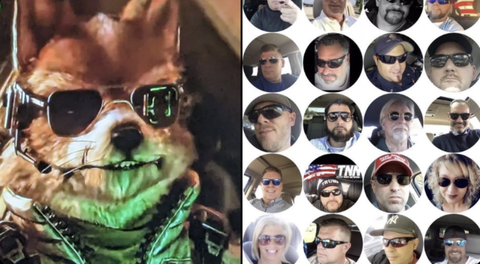Star Fox Remake Character Designs Controversy meme and image example.