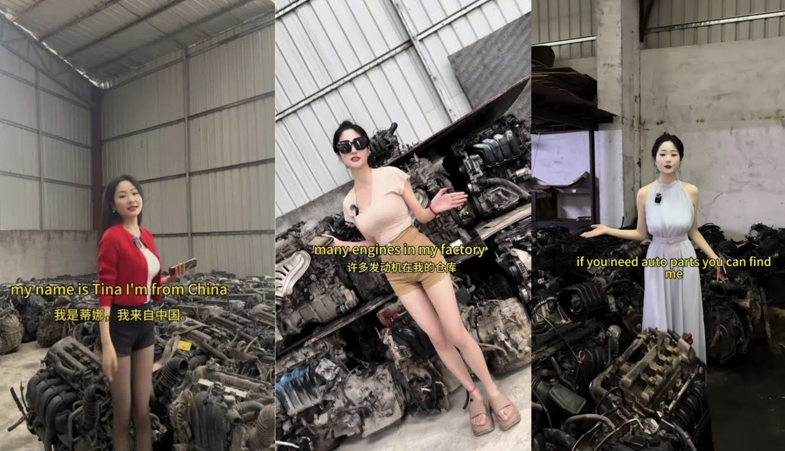 Auto Parts Store Tina image examples.