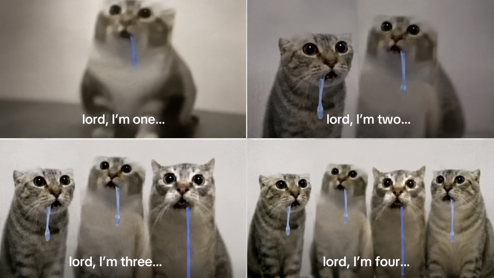 Lord I'm One 500 Miles meme example depicting drooling cats.