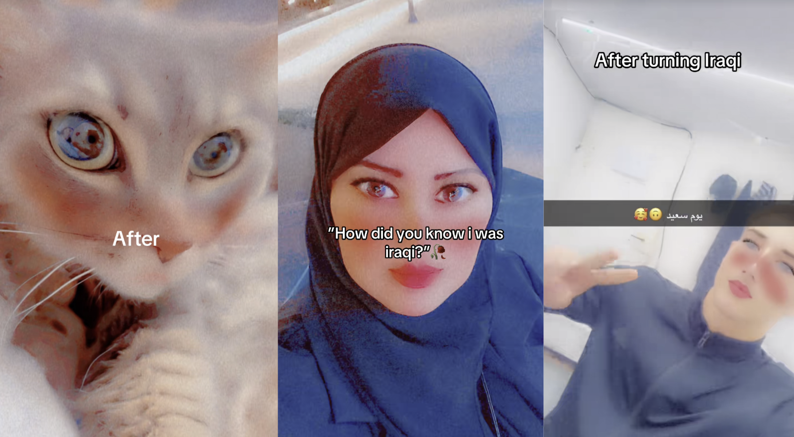 Iraqi Filter / Turning Iraqi image examples.