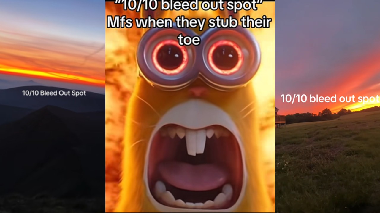 10/10 Bleed Out Spot meme and image examples.