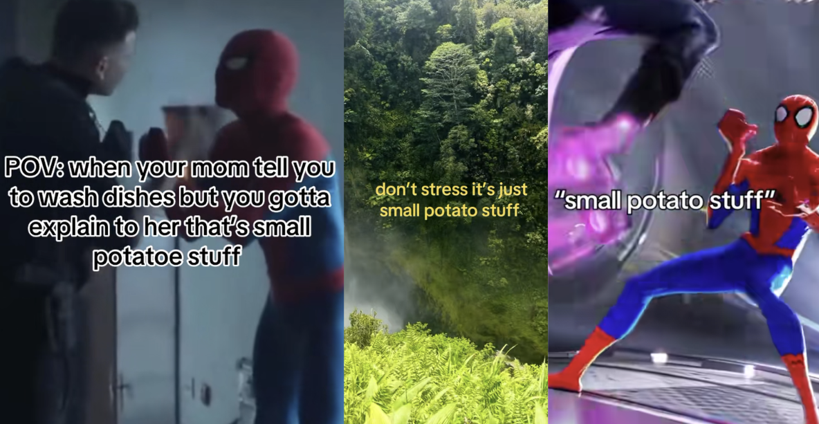 Small Potato Stuff meme and image examples.