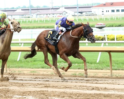 Skibidi Rizz (racehorse)