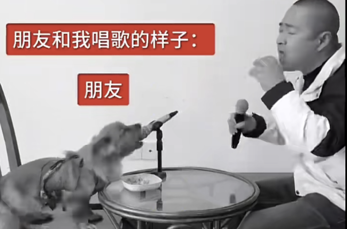 Chinese Dog Singing meme example.