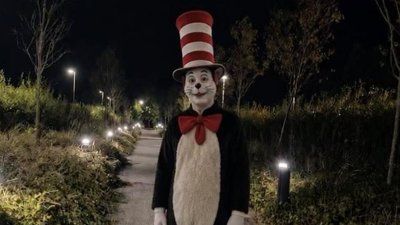 Cat In the Hat Trend image example.