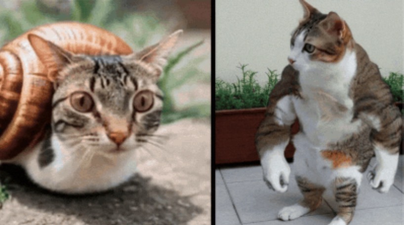 luddites vs vibeGODS Snailcat