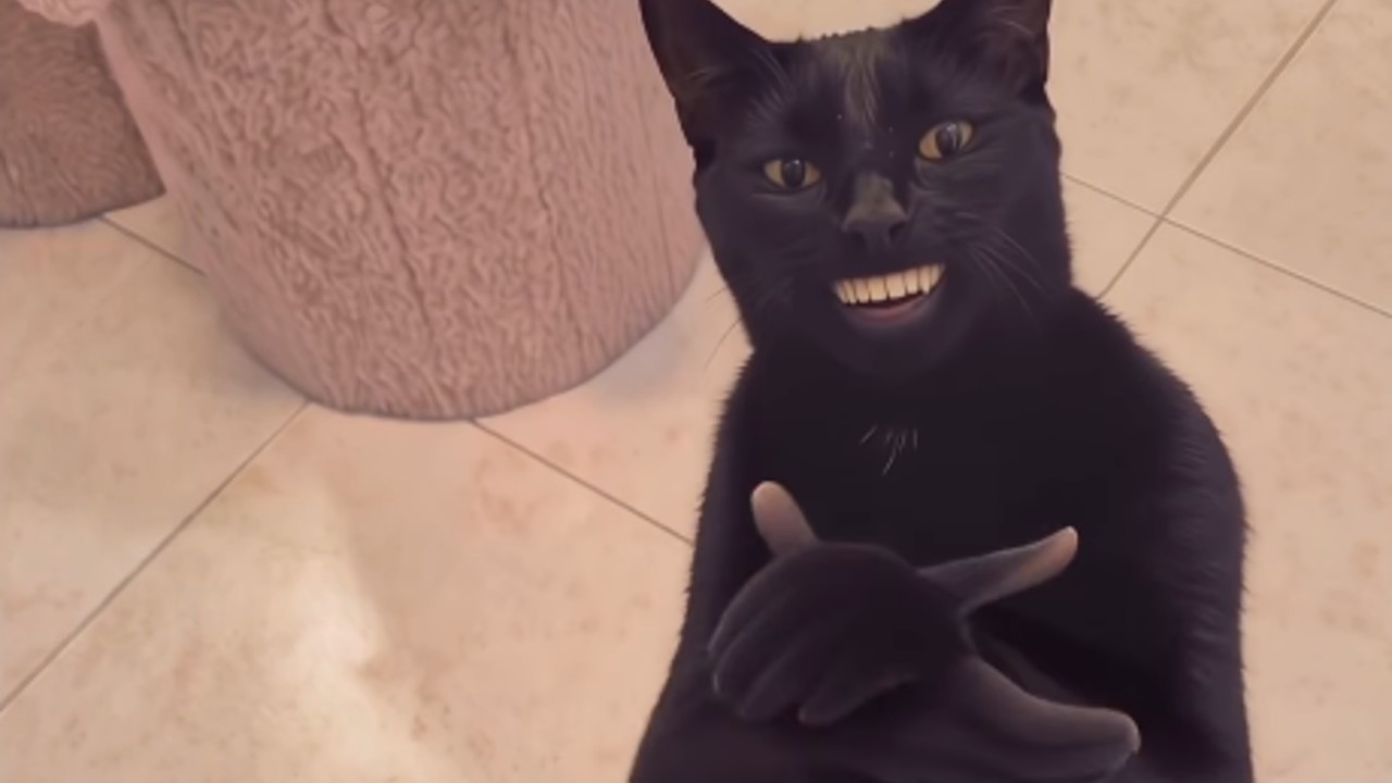 Black Cat Clapping