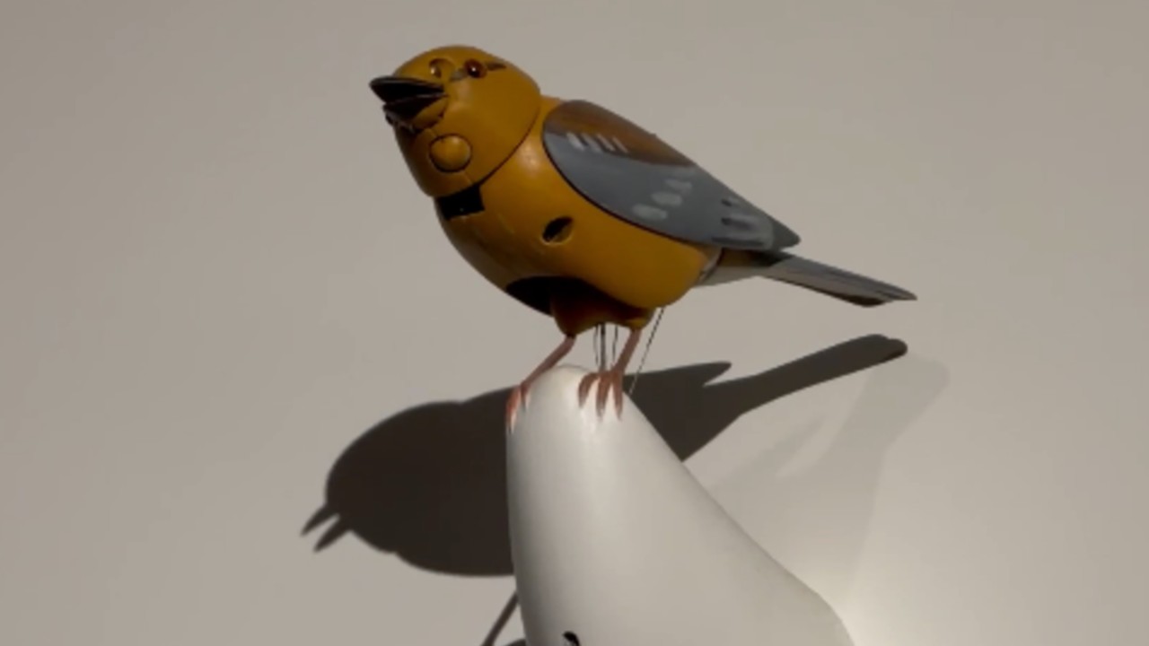 A singing bird toy in the Art of Play store.