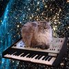 Cat on a Keyboard in Space